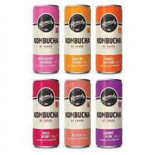 Remedy Kombucha Tea - Rainbow Mixed Pack - Sparkling Live Cultured,