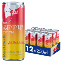 Red Bull Winter 2025 Edition 250ml