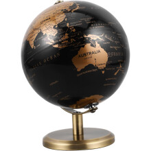 Unpainted Small Globe Model for DIY Coloring Craft Desk Decorations Educational Teaching Tool for Pack