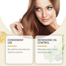 Hoegoa No Wash Hair Spray Gentle Moisturizing Fresh Flush Smooth Hair Care Leave Hair Care