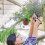 Bypass Pruning Shears for Gardeners, Lightweight Trimmer for Precise Cuts 2