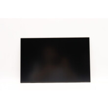 Lenovo LCD INX 14.0 WUXGA AG, 5D10V82396
