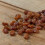 Biopocket Organic Sultana Raisins, 3 x 500 5