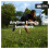 Optimum Nutrition Optimum Nutrition Essential Amino Energy + Electrolytes, Ready to 4