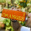 Eager Smooth Orange Juice 100% Squeezed, Refreshing Fruit Drink, No 5