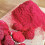 Freeze Dried Raspberry Powder | 100% Pure Fruit Powder | Natural 5