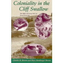 Coloniality in the Cliff Swallow by Mary Bomberger Brown Paperback Boo