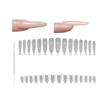 1Box Fashionable Artificial Nail Tips for Long Lasting Wear Elegant Loving Thin Dog Long