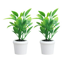 Plastic Mini Foliage Miniature Plant For Dollhouses Scene Decorative Accessory