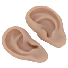 Anatomical Silicone Ear Replicas For Piercer Demonstration And Art Design Dark skin color