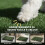 Tapete para cães com bandeja e grama artificial, 63 x 50,5 cm, verde 6