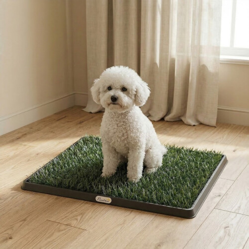 Tapete para cães com bandeja e grama artificial, 63 x 50,5 cm, verde 2