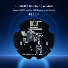 NRF52810 Beacon 5.0 BLE Beacon Tag Posizionamento Indoor Modulo di Automazione A Basso Consumo per Soluzioni IoT Verde