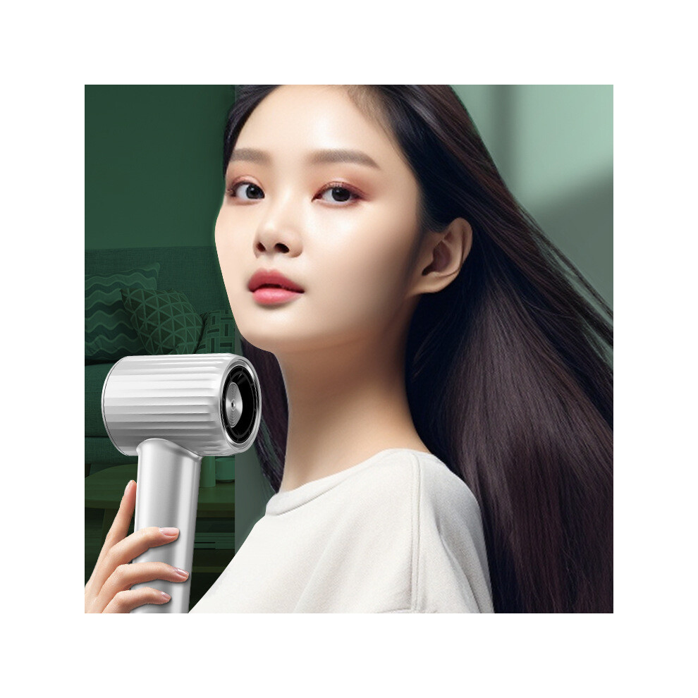 Rncyn Professional Hair Dryer - Model Kv-P02 - High Speed - 1600W Power - Brushless Motor