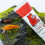 Attractant Gel for Precise Application Enhancing Baits Realism in Various Water 4