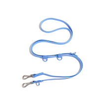 Adjustable Dog Leash - Phoesky - 2.5 m - Waterproof - Durable - PVC - Metal Buckle - Blue - 250x2 cm