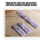 Pack of 1 Componentized Grape Counting Pilates Set 100+ Exercise Approaches Count money 11