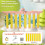 Pack of 1 Reaction Augmenter Tool Permanent Polystyrene for Children Safe Skill 8LS 7