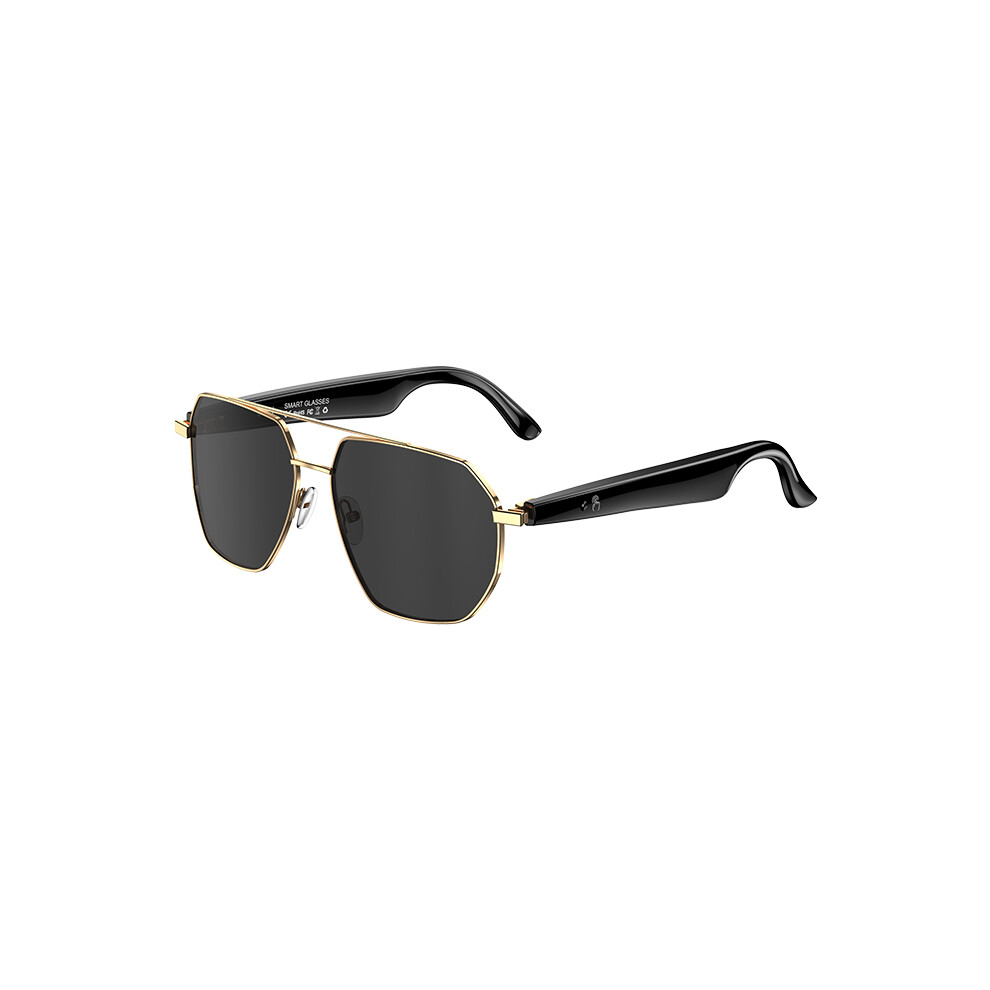 Ai Smart Sunglasses - Rncyn - W100-C - Translation 163 Languages - Bt Call - Music Playback 9486689676346