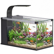 Aquarium van 24 liter van gehard glas met filter, ledverlichting en waterpomp.