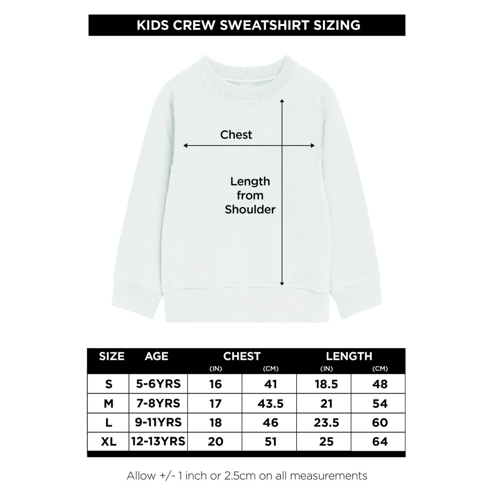 Avengers (12-13 Years, Black) Childrens/Kids The Ultimate Battle Sweatshirt