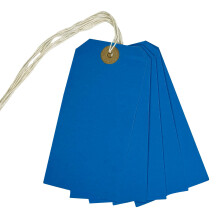 Box of 1000 Blue Strung Tags 120mm x