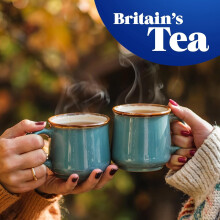 Tetley Original Black Tea Bags  Full Flavoured British Brew  Perfect f