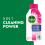 Dettol Dettol Antibacterial Washing Machine Cleaner Pomegranate Multipack of 1
