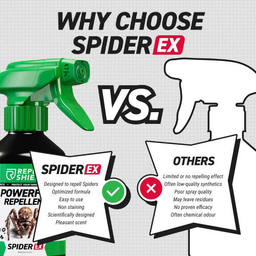 RepellShield Spider Repellent Spray -250ml- Peppermint Spider 1