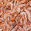 Pantainorasingh Shrimp Paste, 100 g 2