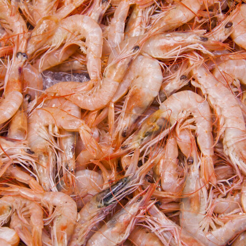 Pantainorasingh Shrimp Paste, 100 g 1