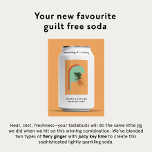 Something  Nothing Ginger  Lime Flavoured Sparkling Water 12 x 330 ml