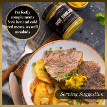 The Condiment Company Hot Mustard 175g English Style Mustard for Sand