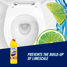 Domestos Thick Bleach Citrus Fresh MultiPurpose Disinfectant AntiBacte