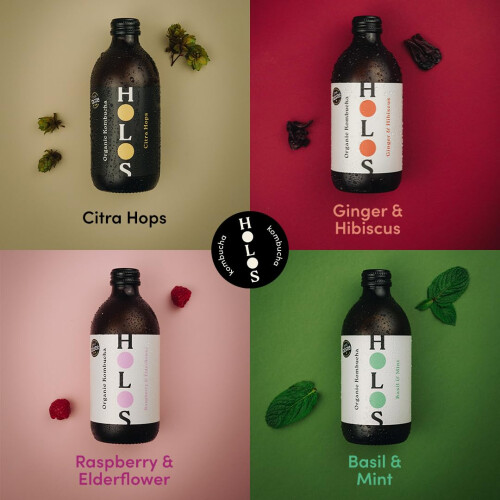 HOLOS Kombucha Drink Mixed Case  Organic Kombucha Tea  Chilled Unpaste