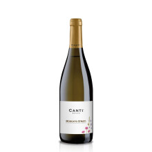 Canti - White D.O.C.G. Sparkling Wine, Moscato d'Asti, Italian Grape Variety from Piemonte, Fruity and Sweet Taste, 1x750 ml
