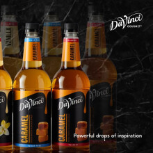 DaVinci Gourmet 1L 1000ML Syrup for Coffee Drinks Pick Any 2 Bottles