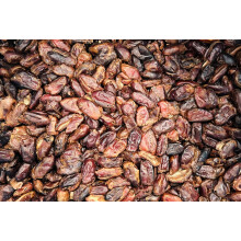 Pitted Dates 10Kg – Natural Raw Dried No Added Sugar Whole Sun Dry Swe
