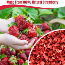 Freeze Dried Strawberry Pieces 200g – FreezeDried Strawberries Crumbs
