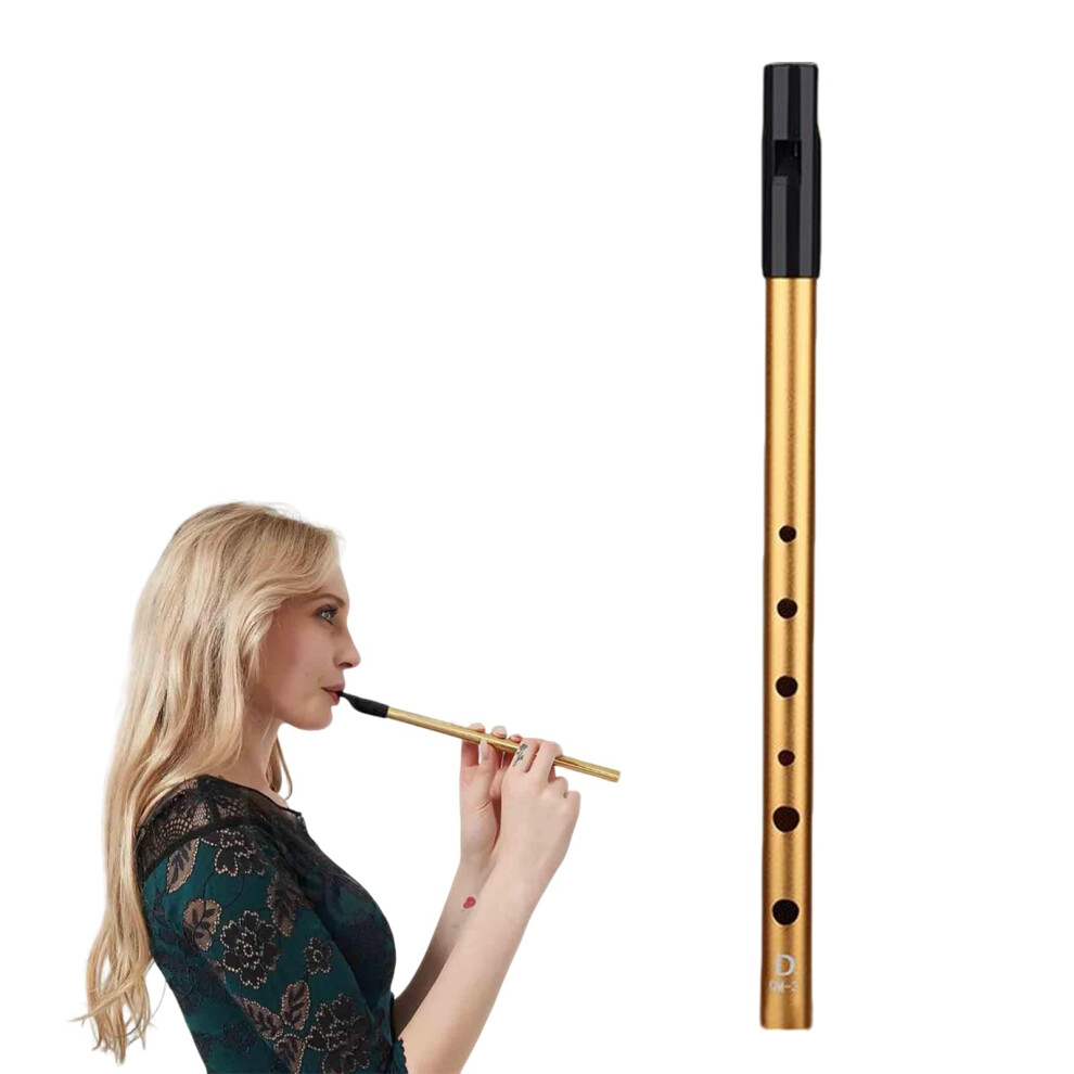Heizhu Irish Tin Whistle D,Whistles,Premium Six-Hole Penny Slide Whistles,For