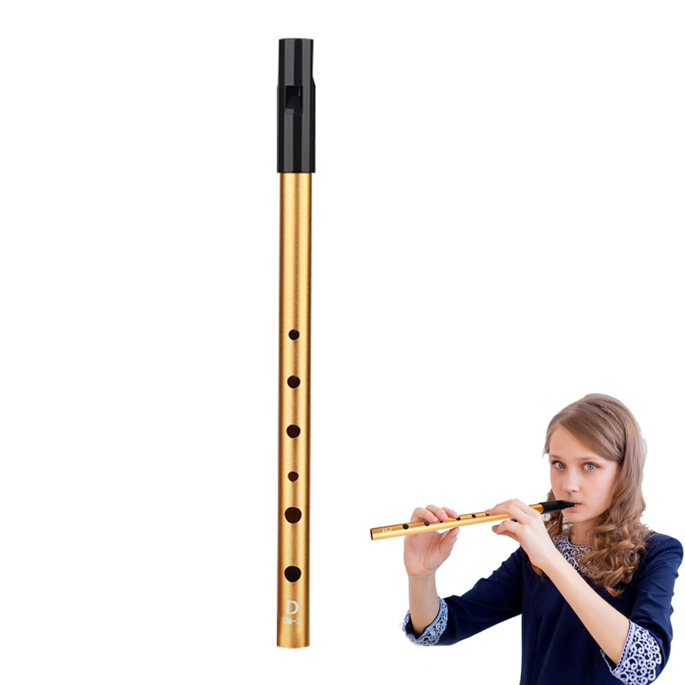 Joalpysm Tin Whistle, Irish Penny Whistle For Traditional Celtic Music, Tin Whi