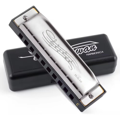 10 Hole C Key Harmonica with Case, Mini Blues Mouth Organ for Beginners