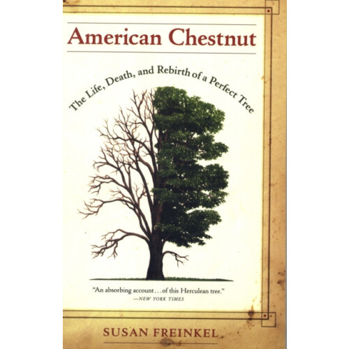 American Chestnut by Susan Freinkel Paperback Book