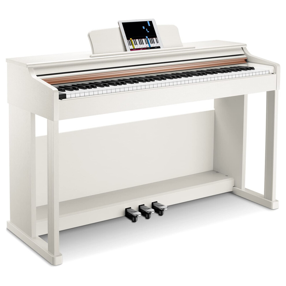 Donner Digital Piano 88 Key Weighted Ddp-100 88-Key Weighted Action Di