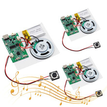 USB Audio Module AYWHP 3pcs Type-C Module Audio Chip MP3 with Recharge