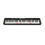 Casio Casio LK-S250AD 61 Touch-Sensitive Key-Lighting Portable Electronic Ke 1
