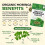 Pure Organic Moringa Tablets 180, Award Winning Natural Moringa 3