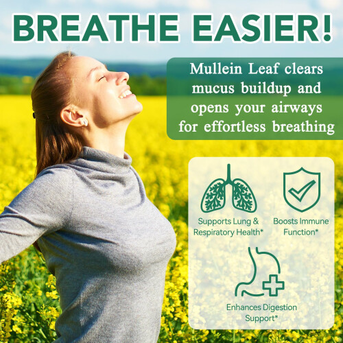 Mullein Gummies 2000mg for Lungs -Mullein Leaf Extract for Lungs Cleanse & Detox 1