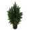 Living And Home 90cm Decorative Artificial Cypress Tree in Pot 2