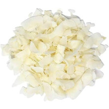 Coconut Chips 10kg - RAW Coconuts Flakes Natural Dried Unsweetened Flaked Edible Flesh Untoasted Pieces Slices for Baking Cooking Desserts Cakes Snac